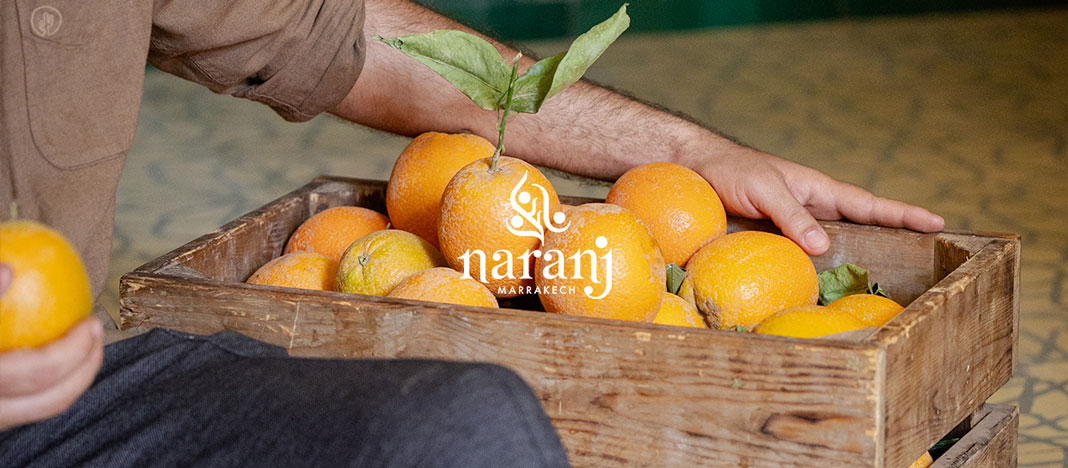 NARANJCréation de contenu photo et vidéo - Stratégie
Marrakech, Maroc